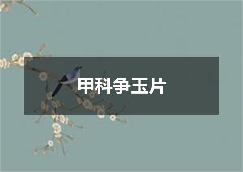甲科争玉片