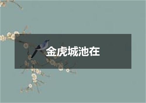 金虎城池在