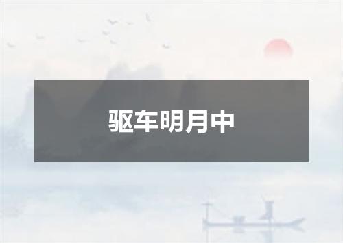 驱车明月中