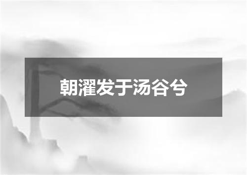 朝濯发于汤谷兮