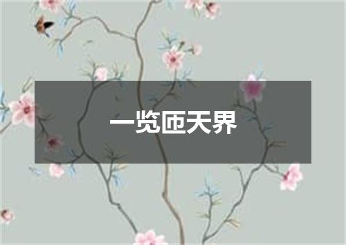 一览匝天界