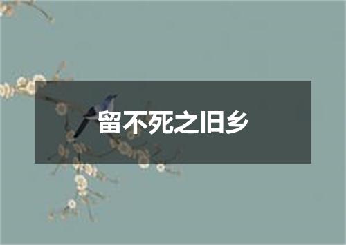 留不死之旧乡