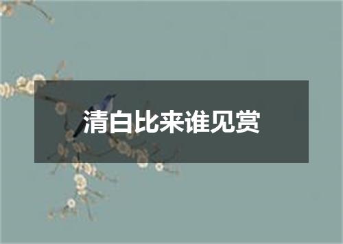 清白比来谁见赏