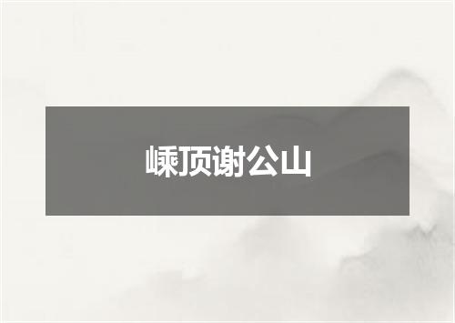 嵊顶谢公山