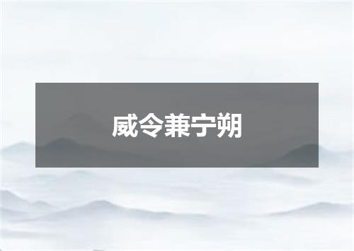 威令兼宁朔
