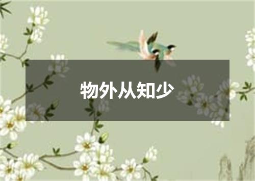 物外从知少