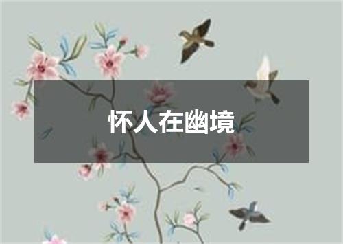 怀人在幽境