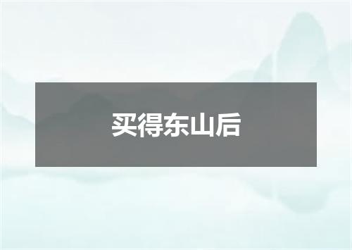 买得东山后