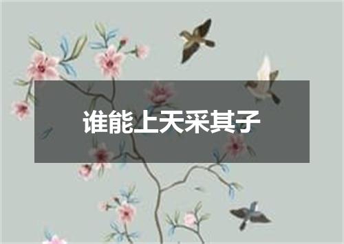谁能上天采其子