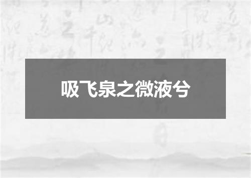 吸飞泉之微液兮