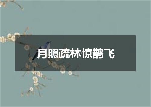 月照疏林惊鹊飞