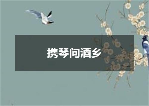 携琴问酒乡
