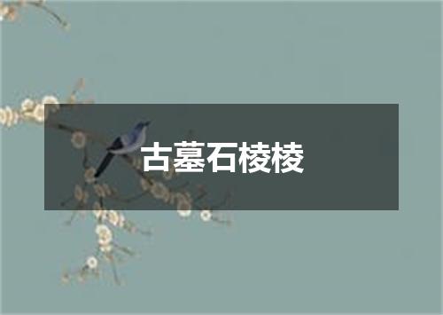 古墓石棱棱