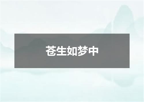 苍生如梦中
