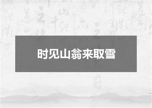 时见山翁来取雪