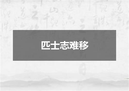 匹士志难移