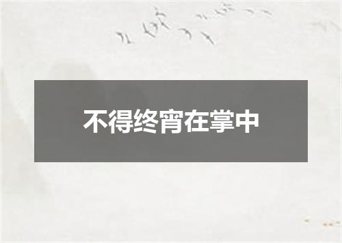 不得终宵在掌中