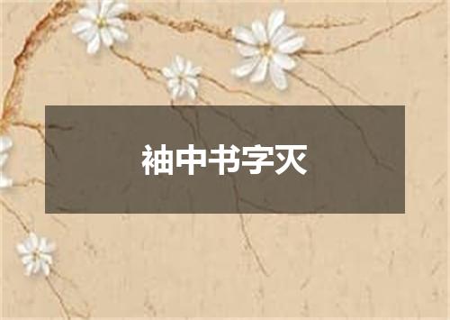 袖中书字灭