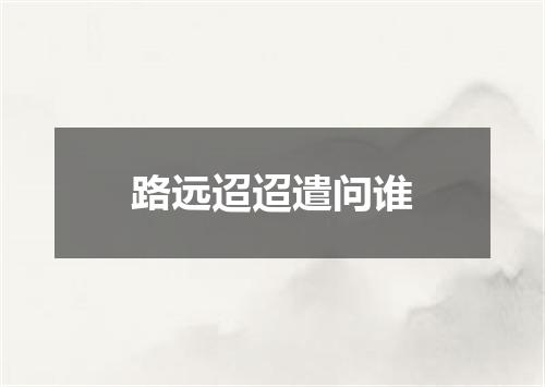 路远迢迢遣问谁