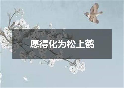 愿得化为松上鹤