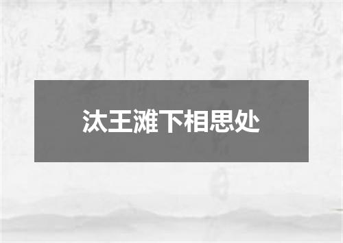 汰王滩下相思处