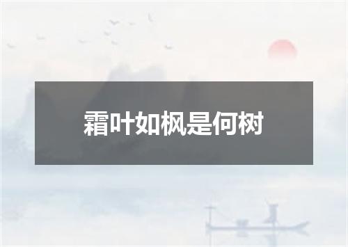 霜叶如枫是何树