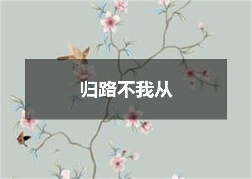 归路不我从