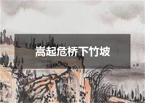 嵩起危桥下竹坡