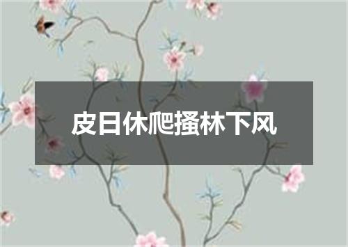 皮日休爬搔林下风