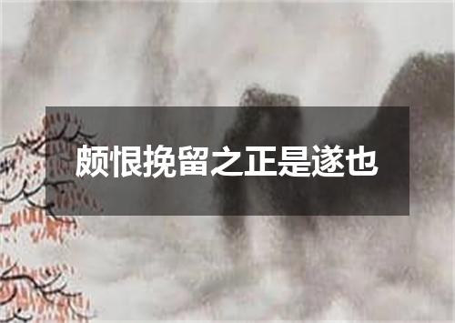 颇恨挽留之正是遂也
