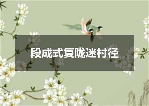 段成式复陇迷村径