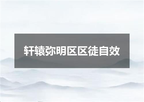 轩辕弥明区区徒自效