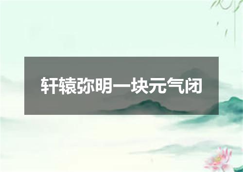 轩辕弥明一块元气闭