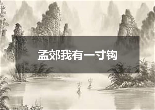 孟郊我有一寸钩
