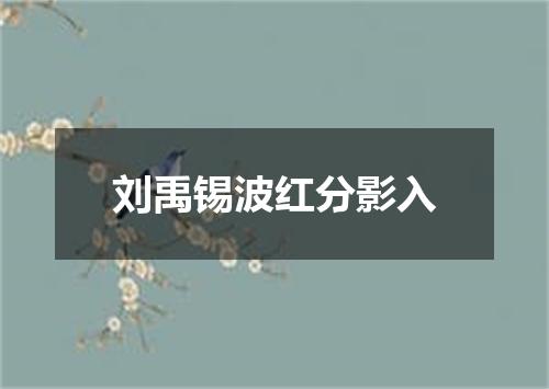刘禹锡波红分影入