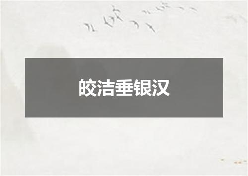 皎洁垂银汉