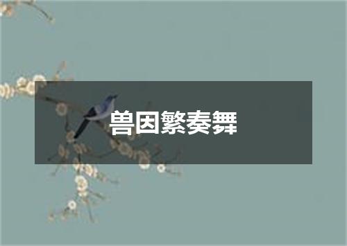 兽因繁奏舞