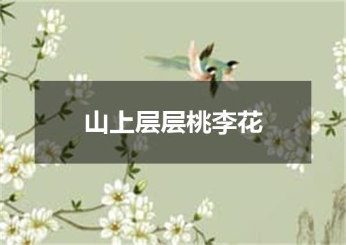 山上层层桃李花