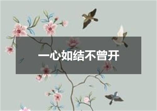 一心如结不曾开