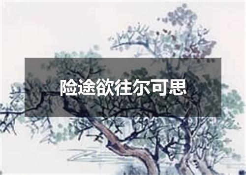 险途欲往尔可思