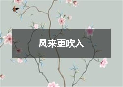 风来更吹入