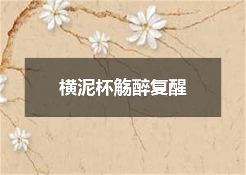 横泥杯觞醉复醒