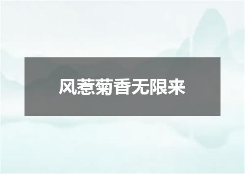 风惹菊香无限来