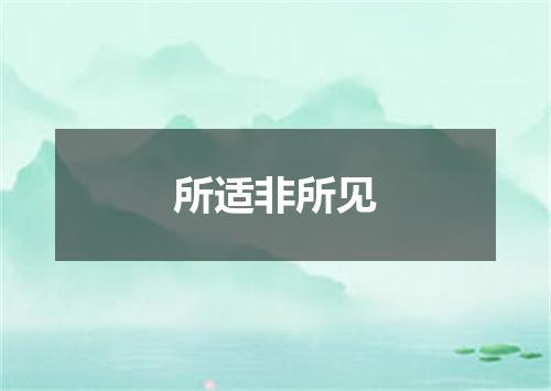 所适非所见