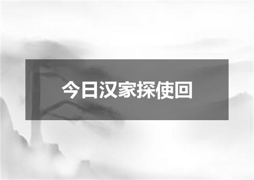 今日汉家探使回