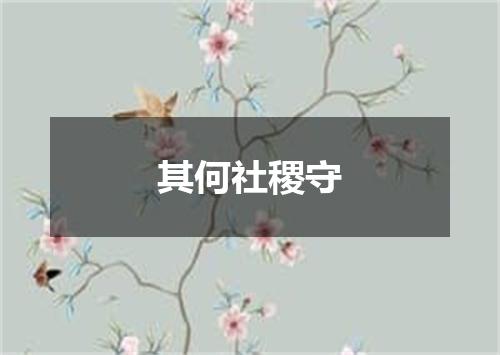 其何社稷守