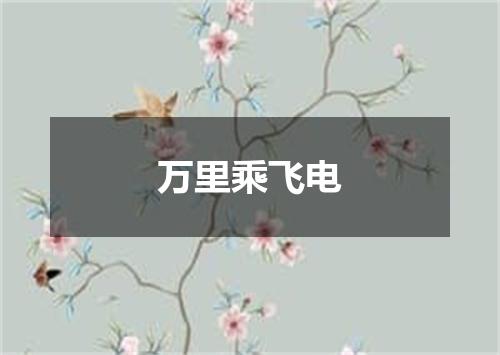 万里乘飞电