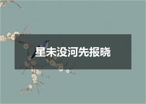 星未没河先报晓