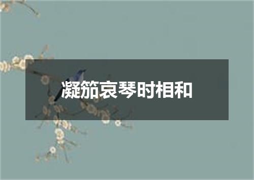 凝笳哀琴时相和