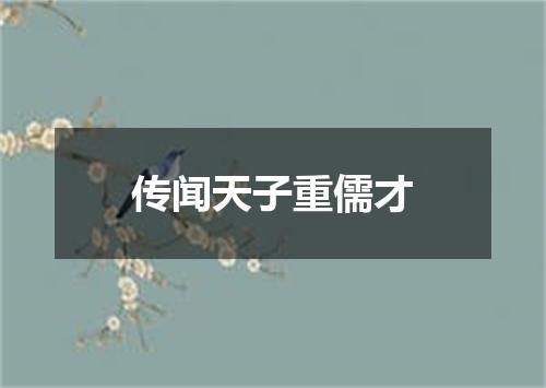 传闻天子重儒才